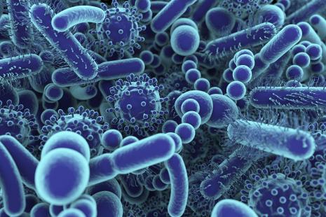 Les bactéries intestinales pourraient servir de biomarqueurs pour prédire la gravité et le risque de mortalité de graves infections respiratoires virales