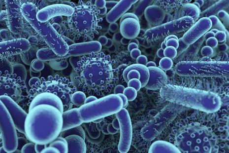 Il est encore difficile d’affirmer que le microbiote intestinal joue un rôle dans l’initiation et le développement de la maladie de Parkinson